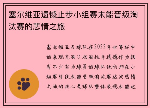 塞尔维亚遗憾止步小组赛未能晋级淘汰赛的悲情之旅