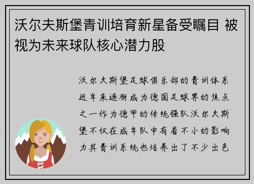 沃尔夫斯堡青训培育新星备受瞩目 被视为未来球队核心潜力股